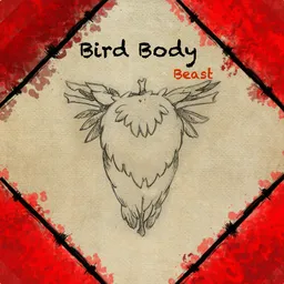 Bird Body