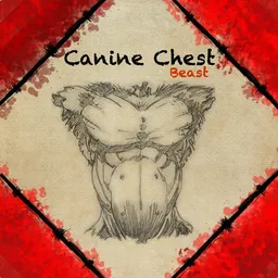 Canine Chest