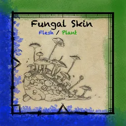 Fungal Skin