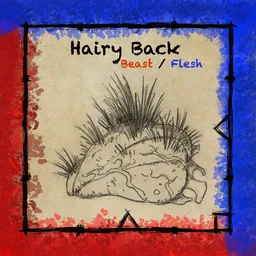 Hairy Back