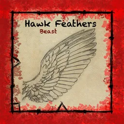 Hawk Feathers