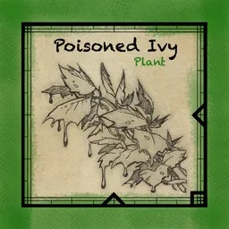 Poisoned Ivy