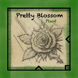 Pretty Blossom